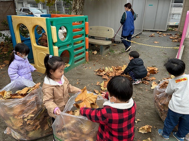 落ち葉掃き